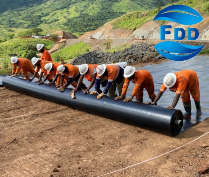 FDD ISO 1.5mm 2.0mm 2.5mm Black Smooth/Textured HDPE Geomembrane for Canada Project