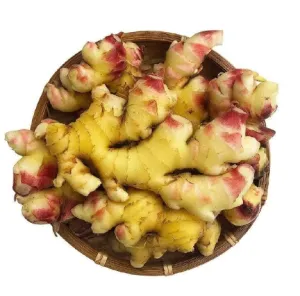 Fresh Small yellow ginger